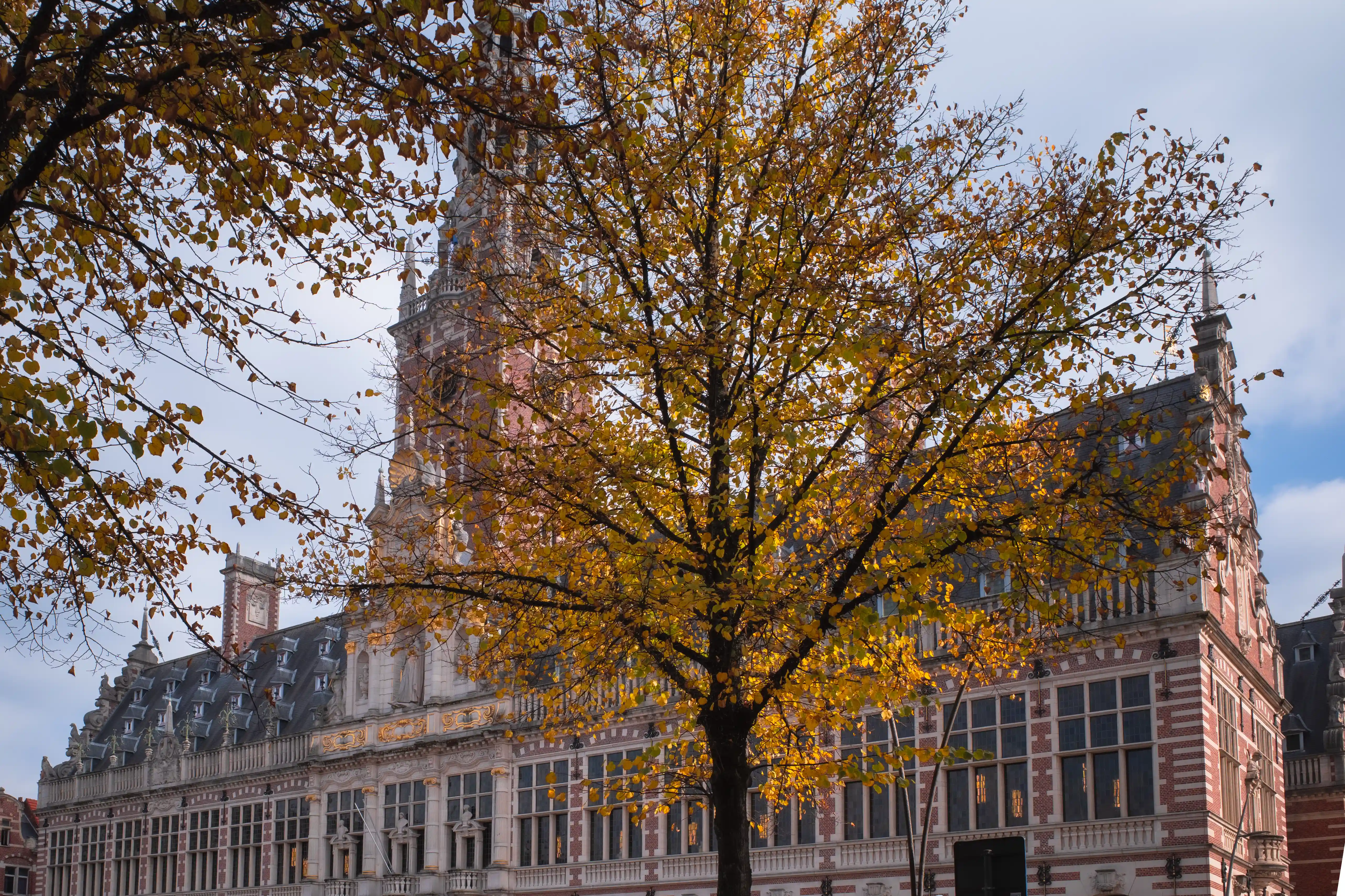 Guided group cycling
